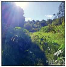Foto JARDIM ALVORADA