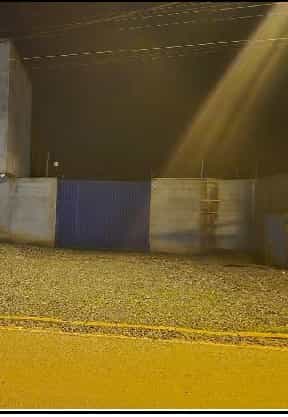Foto CAPIM BRANCO II