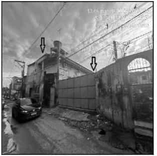 Foto CASTANHEIRA