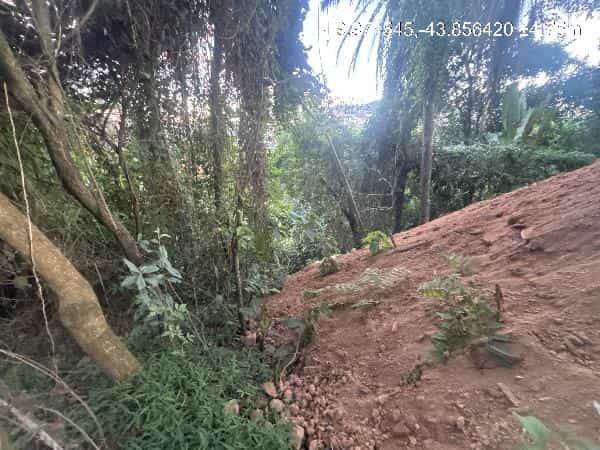 Foto BOA VISTA