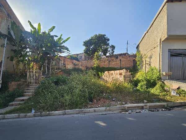 Foto SAO FRANCISCO DE ASSIS