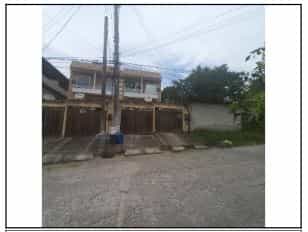 Foto AMENDOEIRA