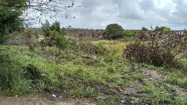 Foto AREMBEPE ABRANTES