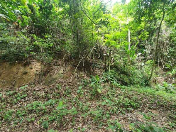 Foto LOT BAIRRO PIRATININGA