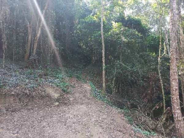 Foto LOTEAMENTO BAIRRO IPIRATININGA