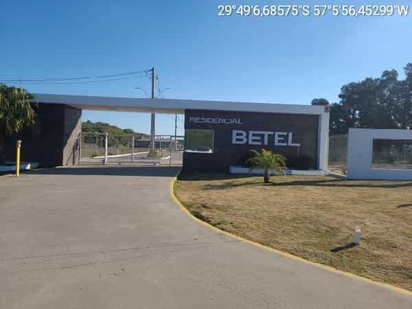 Foto BETEL