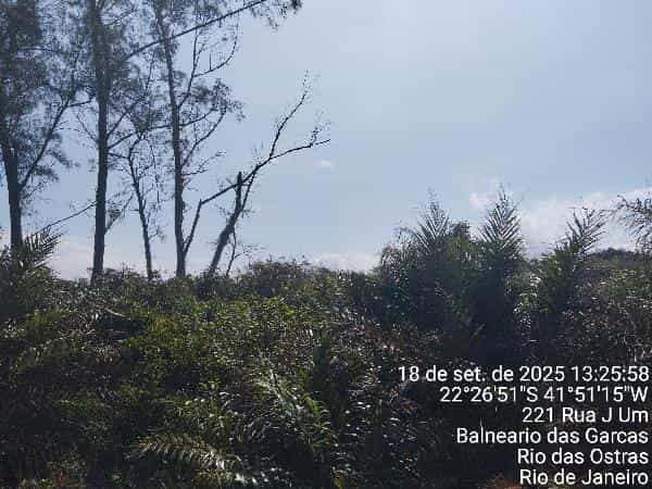 Foto BALNEARIO DAS GARCAS