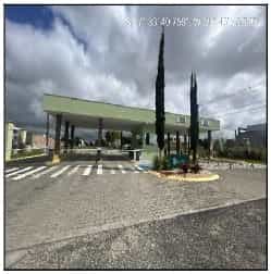 Foto FAZENDA IMPERIAL
