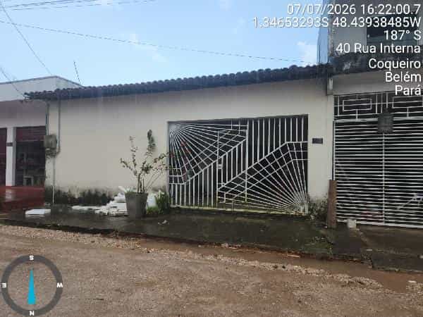 Foto COQUEIRO
