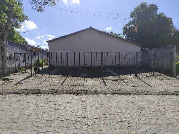 Foto Mangabeira