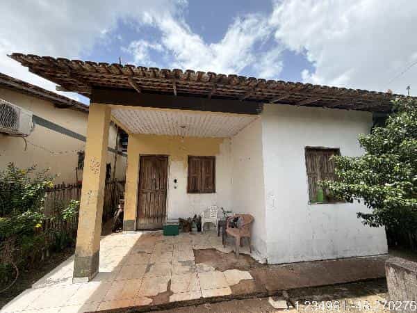 Foto PAU D ARCO