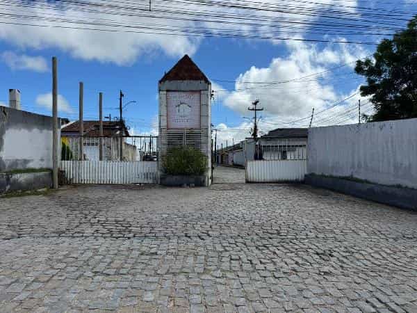 Foto MASSARANDUBA