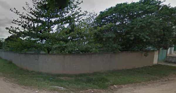 Foto MONTE VERDE