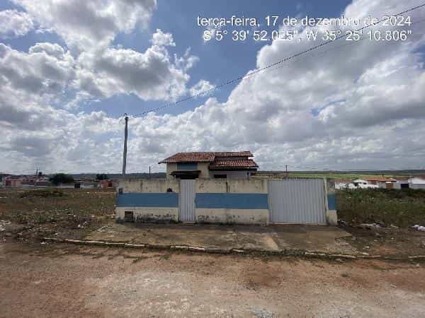 Foto Coqueiros