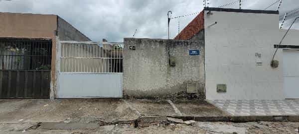 Foto BURITI