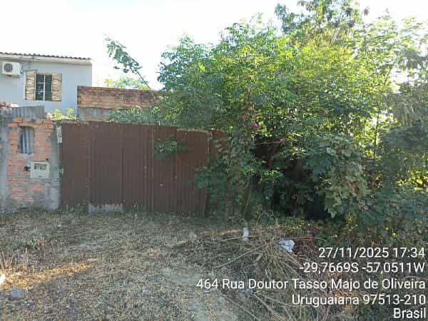 Foto SANTO INACIO