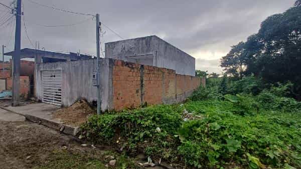 Foto JARDIM