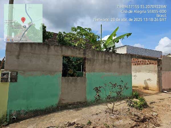 Foto LOT CHA DE ALEGRIA III