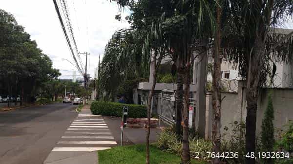 Foto VITTA IPE AMARELO