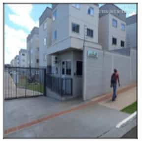 Foto PORTAL DAS GREVILHAS