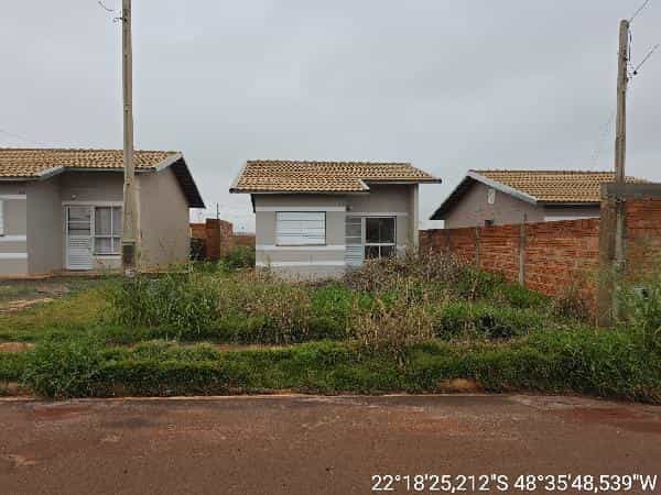 Foto JARDIM DOS IPES