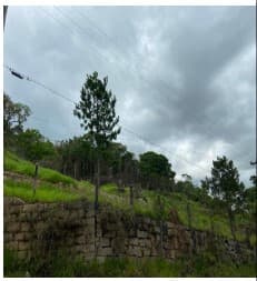 RIBEIRAO PIRES - SANTA LUZIA