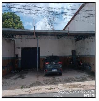 Foto MACAUBA