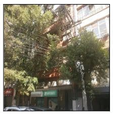 Centro