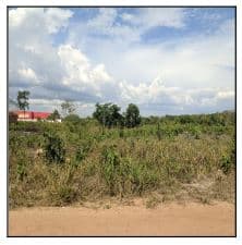 PARQUE MOISES AMORIM