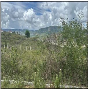 LOT BOSQUE DA COLINA