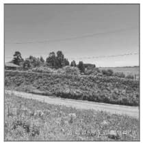 LOT COND TAMOIO