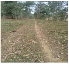 Foto ZONA RURAL