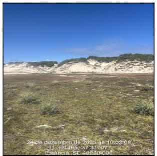 ESTANCIA - PRAIA DA BOA VIAGEM