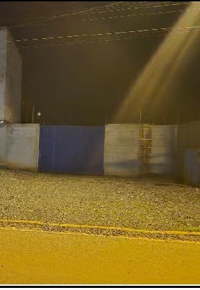 Foto CAPIM BRANCO II