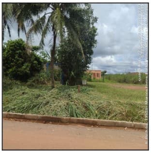PORTO VELHO - MARCOS FREIRE