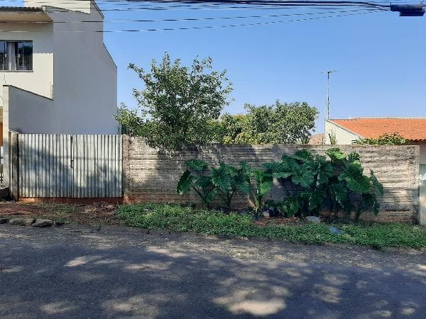 ARAPONGAS - VILA BERNARDES