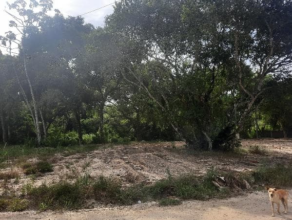 IGUABA GRANDE - LOTEAMENTO CAMPOS VE
