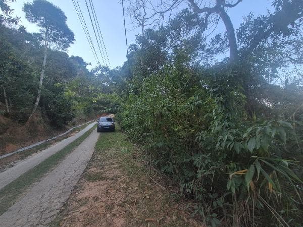 PETROPOLIS - ARARAS