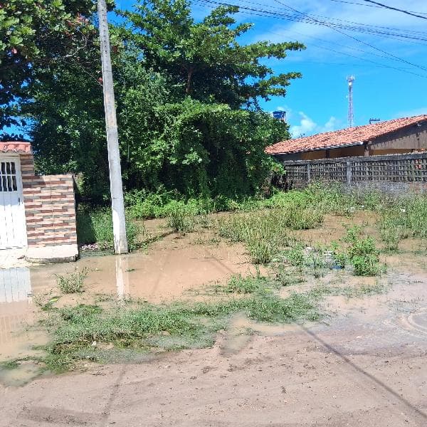 Lot Ana Luiza