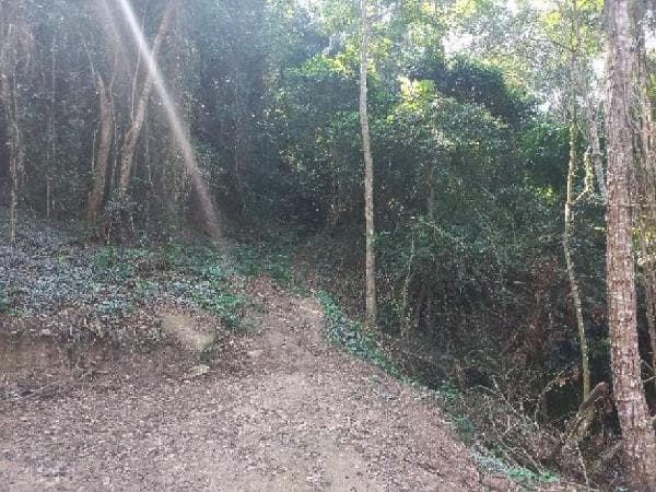 Piratininga
