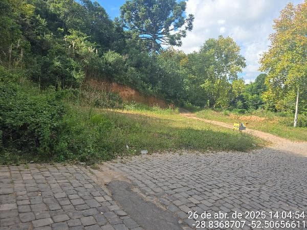 Foto BAIRRO FARROUPILHA