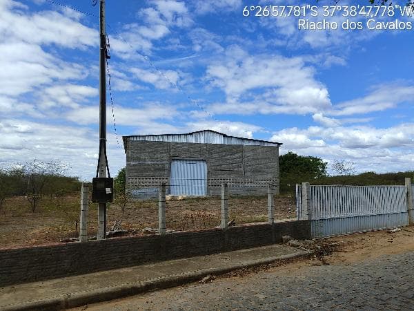 RIACHO DOS CAVALOS - MARIA
