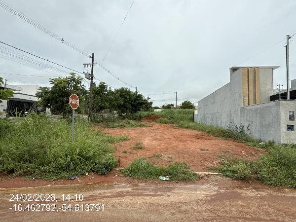 LOT JARDIM GREEN VALLEY
