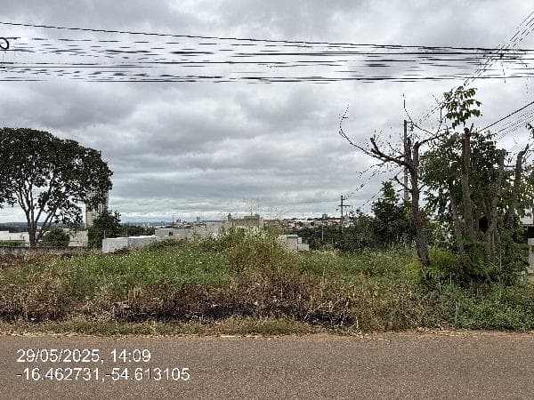 LOT JARDIM GREEN VALLEY