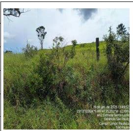 FAZENDA SANTA THEREZA