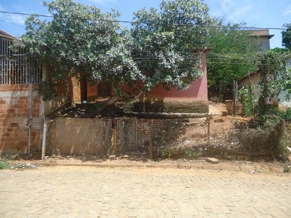 AIMORES - BETEL