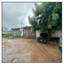 Foto LOT FLORESTINHA