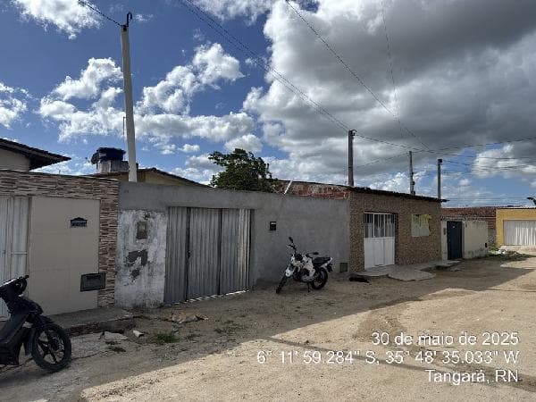 Foto BOSQUE DAS PALMEIRAS