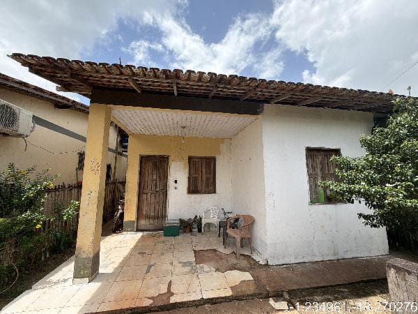 Foto PAU D ARCO