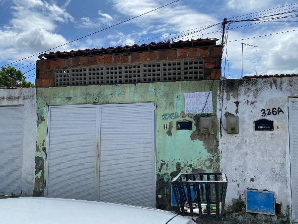 Foto LOT PATO SELVAGEM